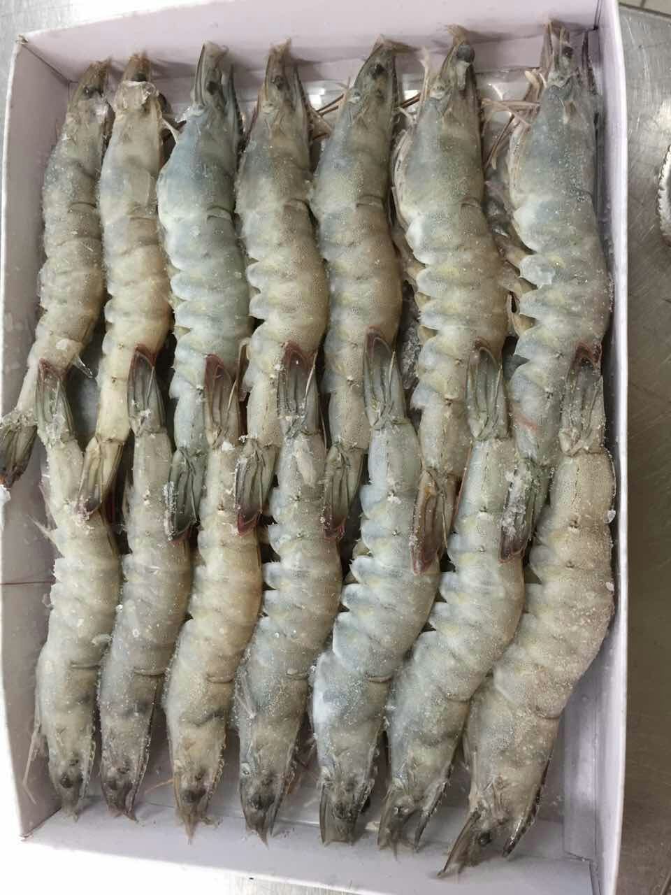 Large Shrimp Prawn Power Vannamaie Feed, Packaging Type: 25 Kg